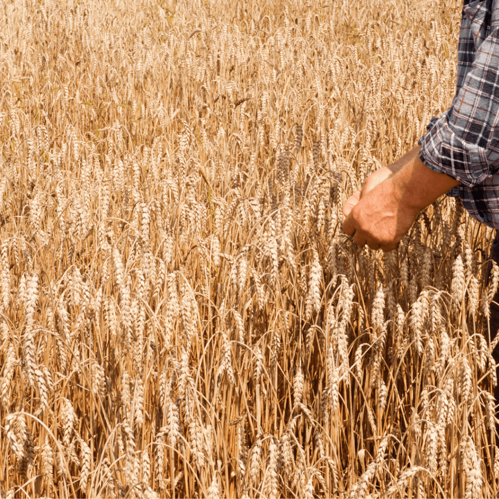 Top 5 Tax Planning tips for farmers